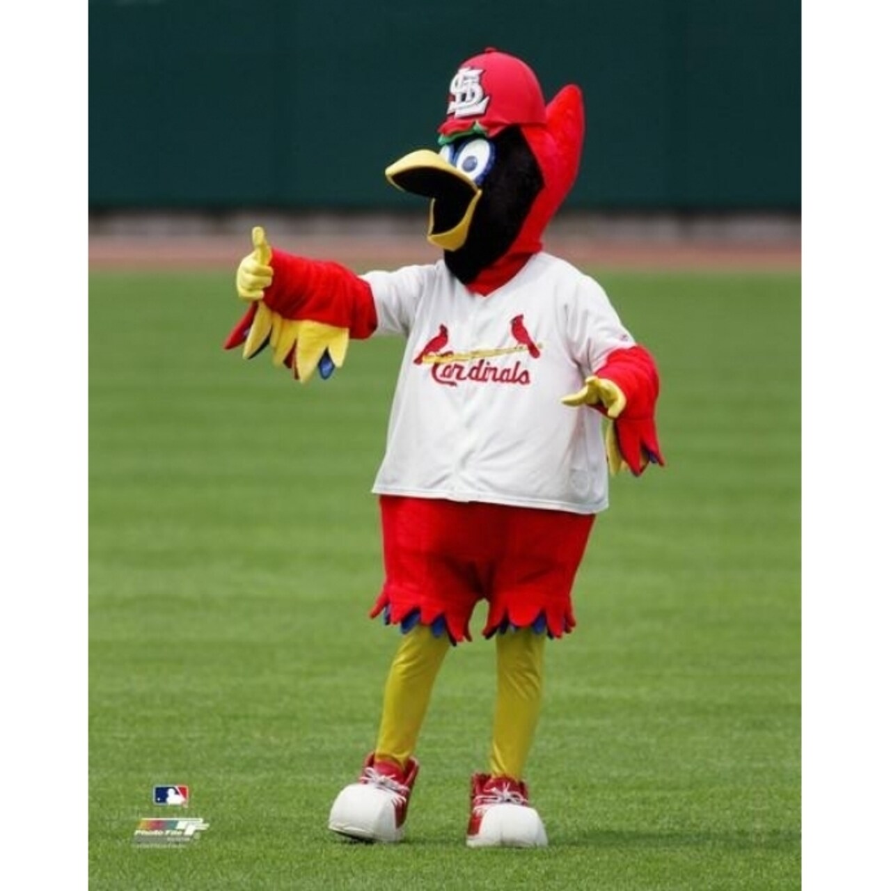Photofile Fredbird the St. Louis Cardinals Mascot Photo Print